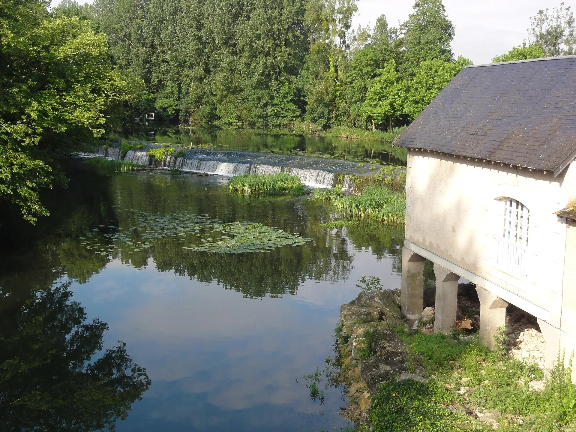 Le Clain à Chasseneuil-du-Poitou, son déversoir et les arbres des rives